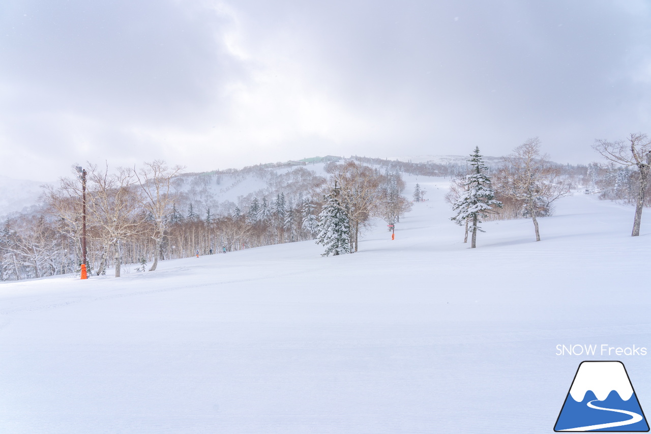 札幌国際スキー場｜３月の平日。粉雪コンディション、ゴンドラ＆リフト待ち無し、もちろん、ゲレンデも混雑無し。要するに、最高です(^_-)-☆